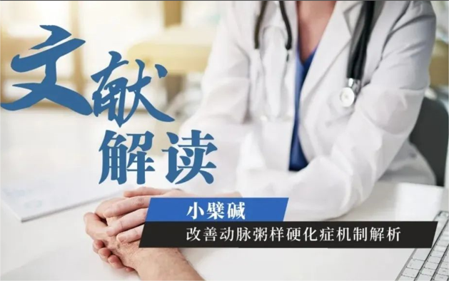 文獻(xiàn)解讀丨小檗堿，改善動(dòng)脈粥樣硬化癥機(jī)制解析