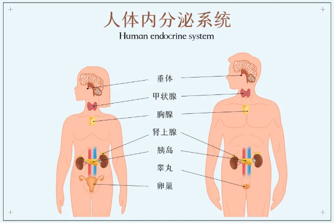 劍指水質(zhì)典型環(huán)境激素，助力新污染物監(jiān)測治理